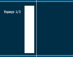 1/3 de página  (6 x 24,5 cm) 