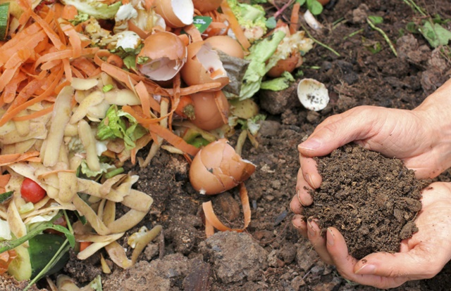 A compostagem conta com a ação dos microrganismos dos materiais orgânicos utilizados.