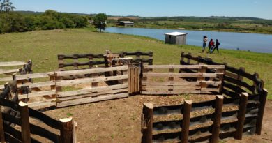 Curral sustentável é destaque no Rio Grande do Sul Curral sustentável é destaque no Rio Grande do Sul