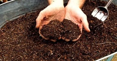 6 Passos Simples Para Fazer Um Composto Para Plantas 6 Passos Simples Para Fazer Um Composto Para Plantas