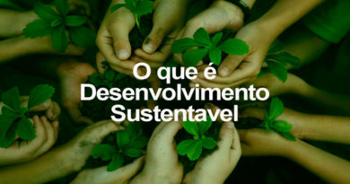Desenvolvimento Sustentável Desenvolvimento Sustentável