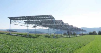 Agricultura com painéis solares pode aumentar a produtividade em mais de 60% Agricultura com painéis solares pode aumentar a produtividade em mais de 60%