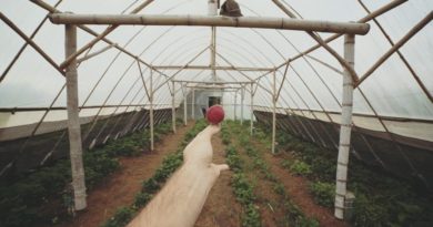 Por que a agroecologia vai substituir de vez a agricultura convencional? Por que a agroecologia vai substituir de vez a agricultura convencional?