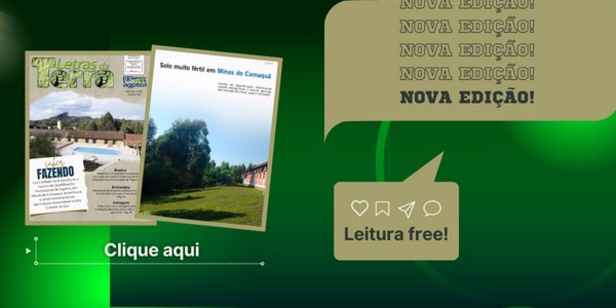 LETRAS DA TERRA