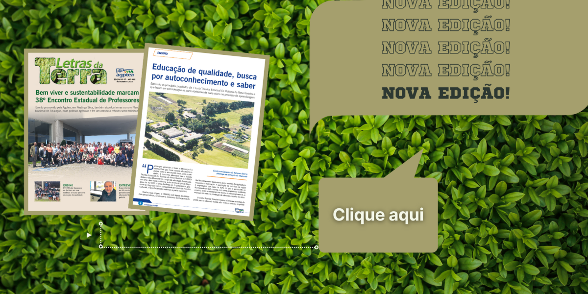 LETRAS DA TERRA